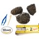 thumbnail image 2 of Kit de disección de pellets PelletPal Premium para lechuzas comunes grandes, 2 of 7