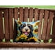 thumbnail image 2 of Cojín Sunflowers Bernedoodle, 2 of 6