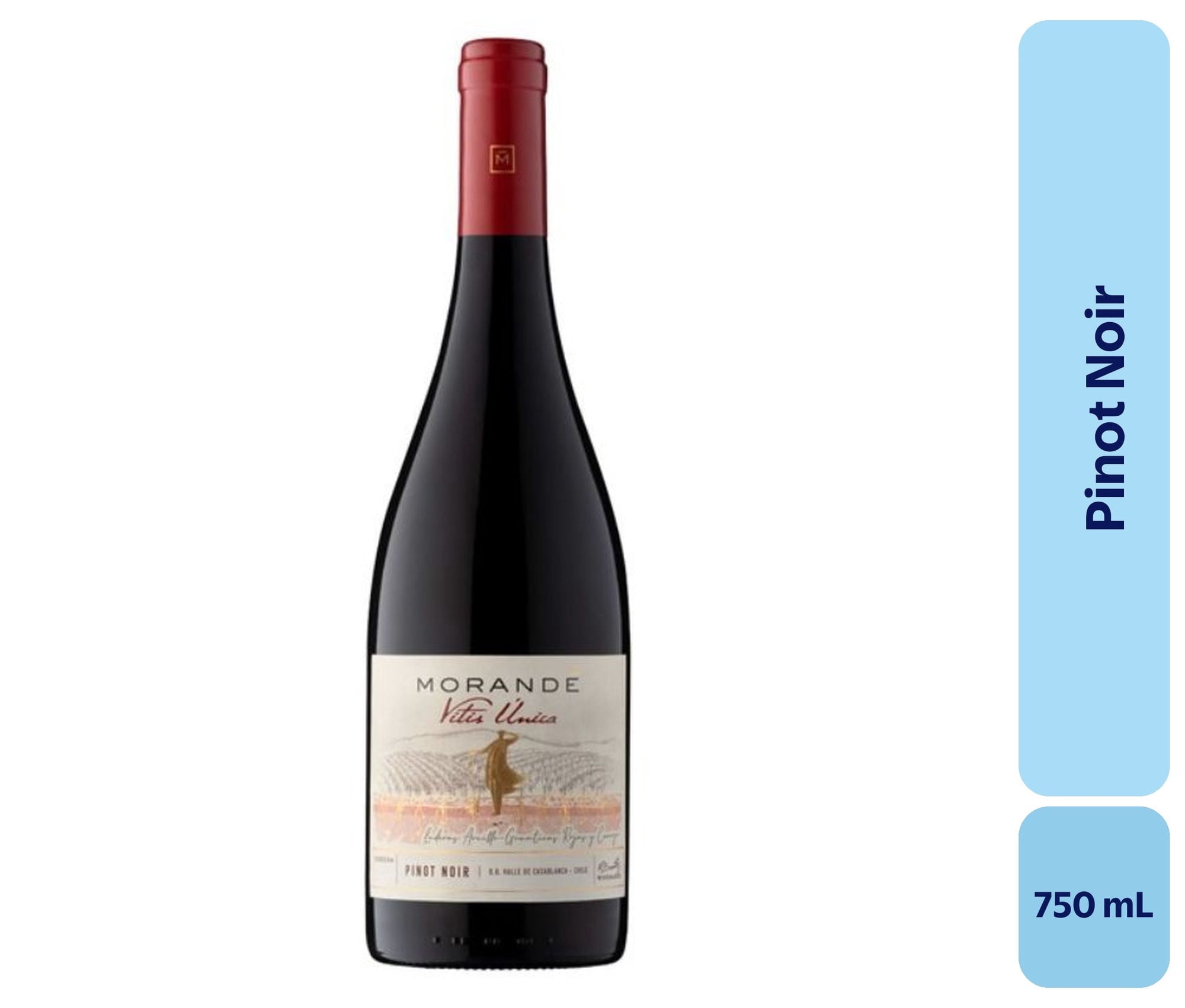 Vino Pinot Noir Botella 750 mL Morande