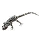 thumbnail image 4 of insectos de arcilla muy simulados al azar animales de color modelo juguetes lagarto, 4 of 5
