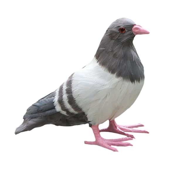 Estatua de paloma de simulación, escultura de paloma, estatuilla de Animal realista, estatuas de jardín para césped, balcón, fiesta temática, pasillo, Gris de pie