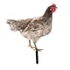 thumbnail image 5 of Estatua De Jardín De Pollo, Estaca, Adorno De Césped Para Gallina, Regalo Exterior, Patio De Gallo, Estilo Artístico B, 5 of 5