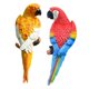 thumbnail image 4 of 2 Figuras De Loro Para Decorar El árbol De La Pared, De Resina, Para Césped, Jardín, Color Amarillo Y Rojo., 4 of 5