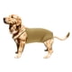 thumbnail image 1 of Unique Bargains Pañales para Perros Lavables y Reutilizables Pantalones Fisiológicos con Correa Ajustable Perros Pequeños Medianos Gatos S Amarillo, 1 of 7