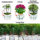 thumbnail image 4 of Estacas de soporte para plantas K-Brands, paquete de 12, 61 cm, resistentes al óxido, 4 of 6