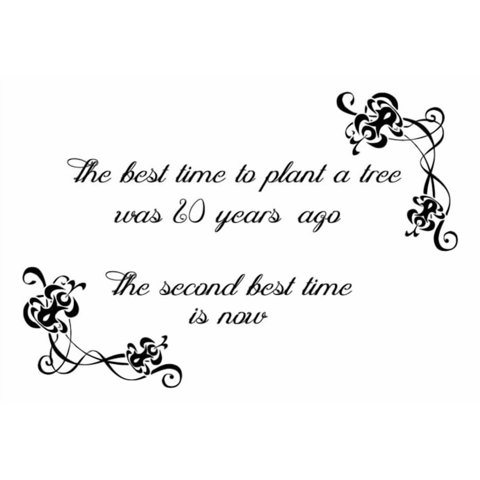 Rienda Libre Graphics - Decomural Start Now Inspirational Ws-34293