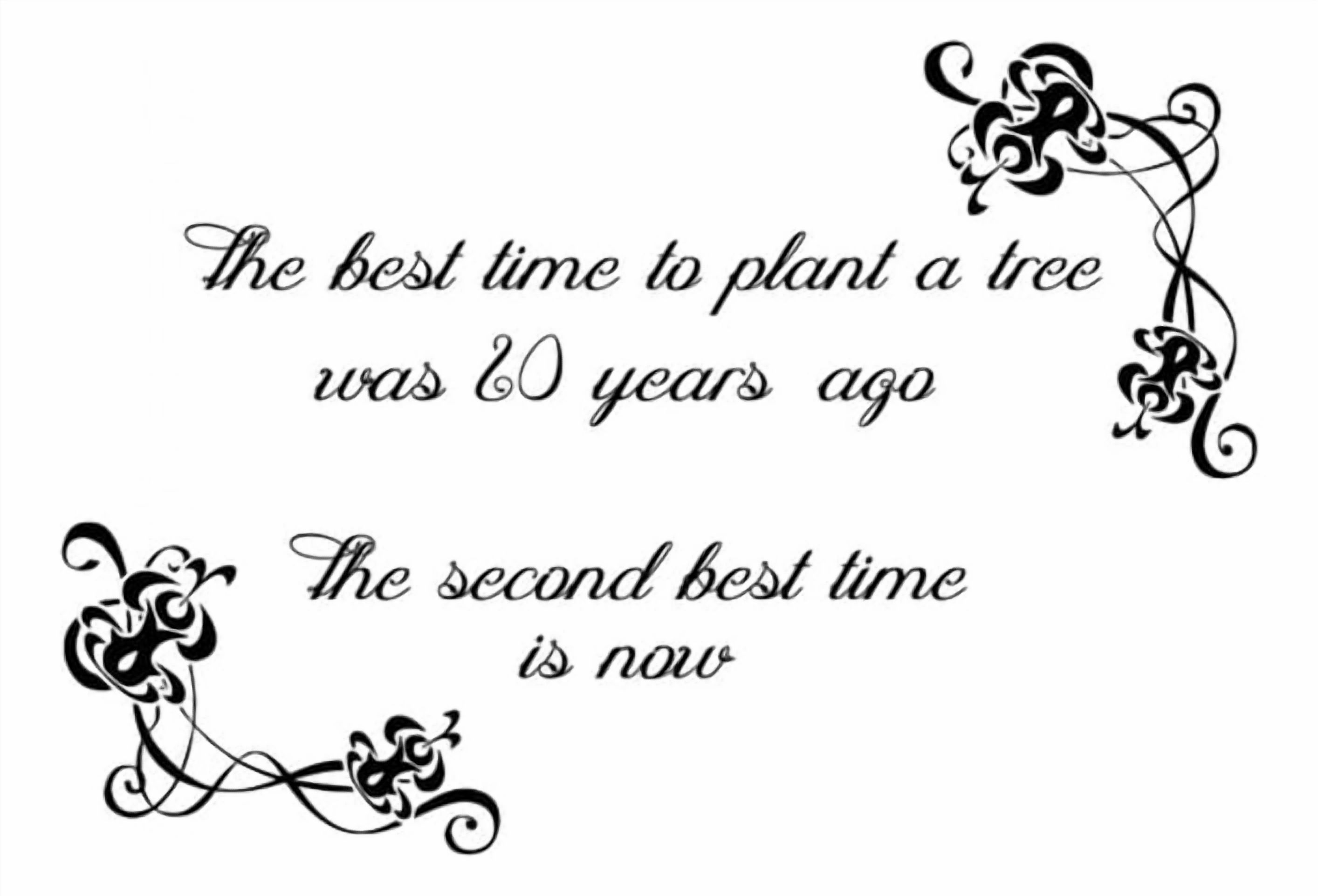 Rienda Libre Graphics - Decomural Start Now Inspirational Ws-34293