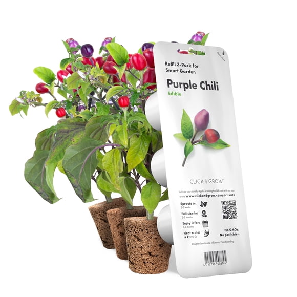 Pack de 3 chiles morados Click and Grow Smart Garden de Plant Pods