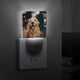 thumbnail image 4 of Golden Retriever Luz nocturna LED con sensor de anochecer a amanecer para dormitorio, baño, pasillo, escaleras - Lámpara LED nocturna de enchufe, 0.5W - 1 pieza, 4 of 6
