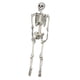 thumbnail image 5 of Esqueleto de Halloween Articulaciones móviles Escultura de cuerpo completo, Decoraciones de esqueleto humano de imitación para fiesta en casa, 5 of 5