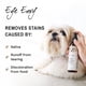 thumbnail image 2 of Spray Quitamanchas Beard Para Perros Y Gatos 240 Ml, 2 of 8