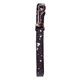 thumbnail image 3 of Collar Mickey Talla M + Correa, 3 of 3
