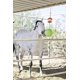 thumbnail image 4 of Combo Juguete para Establo de Caballos Horsemen's Pride con Aroma a Manzana, 4 of 4