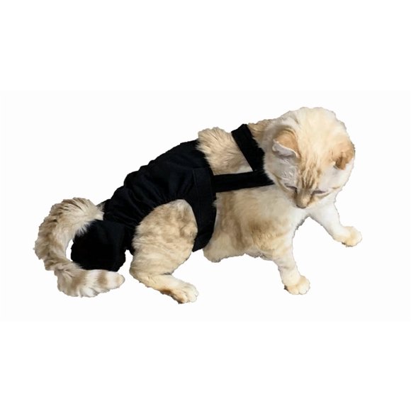 Pañal para gato Crazy K Farm negro ajustable