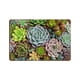 thumbnail image 1 of Cartel Metálico Desmarcar Plantas Suculentas 30x40cm, 1 of 6