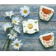 thumbnail image 4 of Set de 12 minimacetas de terracota Planter BUZZY Daydream, 4 of 5