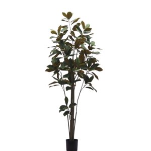 Corel - Planta Decorativa Árbol Magnolia Denudata 180 Cm