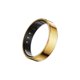 thumbnail image 1 of Anillo inteligente POBOVi Gen 2 Oro talla 9, 1 of 9