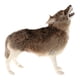 thumbnail image 1 of Juguete Relleno De La Felpa Del Lobo De La Simulación Para Los Regalos De Cumplea?os De Los Ni?os, 1 of 5