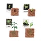 thumbnail image 5 of Figuras De Ciclo De Vida, Juguete Educativo Realista Para Favores De Fiesta, Crecimiento De Plantas, 5 of 5