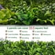 thumbnail image 5 of Jardín Muro Vertical Artificial F Palmeta Plantas 60x40 Cm, 5 of 9