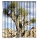 thumbnail image 1 of Cortina de ducha con diseño de cactus y árboles, ideal para días soleados, con ganchos, tamaño 66 x 72 pulgadas, 1 of 3