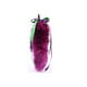 thumbnail image 1 of Cola de Zorro Magenta, 1 of 1