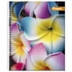 thumbnail image 5 of Cuaderno Universitario Clásico 7 mm 100 Hojas / Producto surtido, 5 of 8