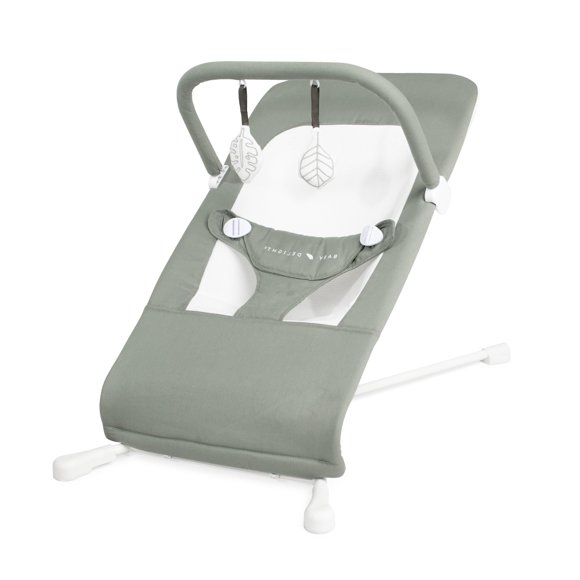 Asiento para Bebé Baby Delight Highland Organic Bouncer Sage
