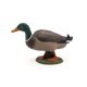 thumbnail image 5 of Figura Papo Mallard Duck pintada a mano para niños, 5 of 7