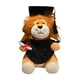 thumbnail image 2 of Graduation Lion Doll Crafting Animal Relleno Para Amigos Favores De Fiesta De Dormitorio Negro, 2 of 5