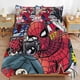 thumbnail image 3 of Juego de ropa de cama Spidean para niños, hombres y mujeres, tamaño matrimonial, edredón, funda de edredón y fundas de almohada., 3 of 3