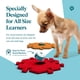 thumbnail image 3 of Kit de entrenamiento FluentPet Speak Up! con 6 botones grabables, 3 of 6