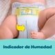 thumbnail image 5 of Pañales Pampers Premium Care P, 5 of 6