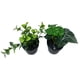 thumbnail image 4 of Planta artificial 9x17cm, 4 of 8