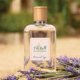 thumbnail image 3 of Perfume Ralph Lauren Polo Earth Provencial Salvia 40 ml, 3 of 6
