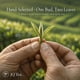 thumbnail image 3 of Té verde JQ 2026 Dragon Well pre-Qingming 100 g, 3 of 7