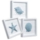 thumbnail image 1 of Arte de pared TideandTales con conchas marinas y estrellas de mar azules, juego de 3, 1 of 9