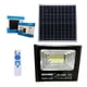 thumbnail image 1 of Foco 153 Led 100w Con Panel Solar Y Control, 1 of 3
