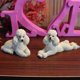 thumbnail image 5 of Caniche Perro Estatua Animales Estatuilla Sala De Estar Oficina Decoración Blanco, 5 of 6