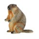 thumbnail image 1 of Martillas De Las Marmotas Figura Decorativa Mini Marmots Escultura Para Ni?os Ni?os Ni?os De Pie, 1 of 5