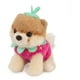 thumbnail image 3 of Peluche GUND Boo, el perro más lindo del mundo, fresa, 13 cm, 3 of 3