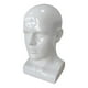 thumbnail image 1 of Cabeza De Maniquí Para Hombre, Accesorio De Soporte De Exhibición De PVC Para Exhibición De Salón, Blanco Brillante, 1 of 3