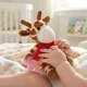 thumbnail image 2 of Sujeta Chupete Porta Chupete Peluche Apego + Chupete, 2 of 3
