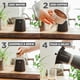 thumbnail image 5 of Cafetera de café espresso GROSCHE Milano Moka para 12 tazas, 700 ml, negra, 5 of 9