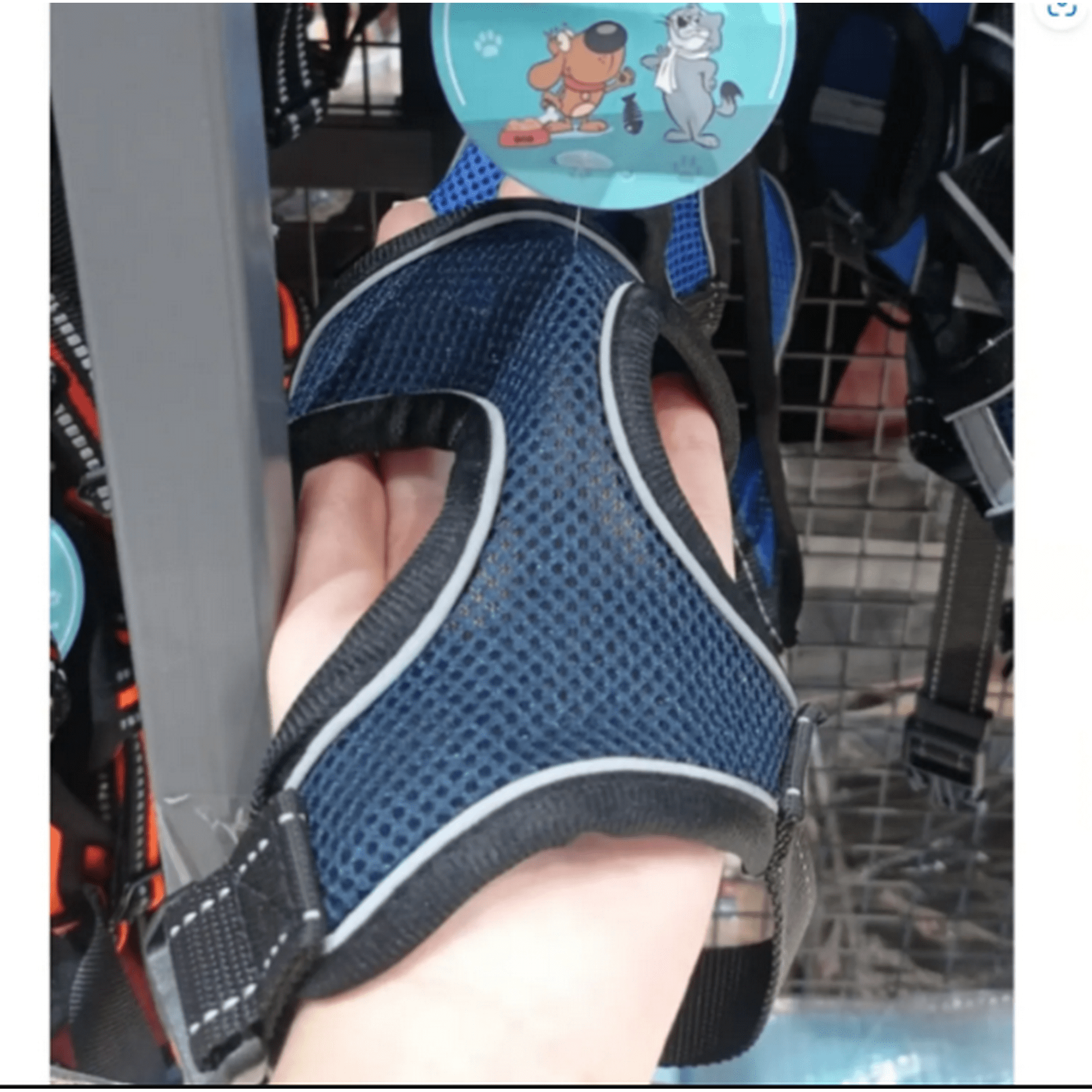 Genérico - Chaleco Arnes Para Perros Color Azul