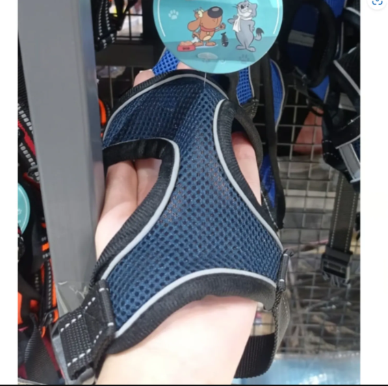 Genérico - Chaleco Arnes Para Perros Color Azul