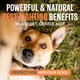 thumbnail image 4 of Spray Natural Contra Pulgas Y Garrapatas Para Perros Y El Hogar, 4 of 8
