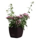 thumbnail image 1 of Macetero autorregante Luz 26 r, 1 of 1