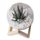 thumbnail image 4 of Maceta De Cristal Con Adornos Florales, Maceta Creativa Para Jardín Al Aire Libre, Hotel, 12cm, 4 of 5